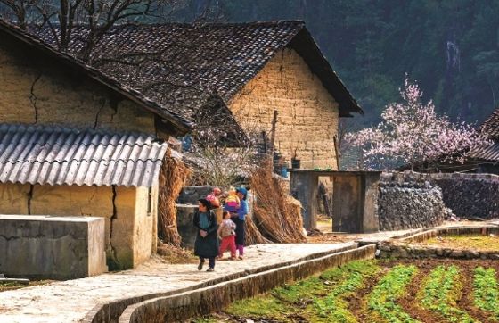 Discover The Authentic Beauty Of Thon Tha Village In Ha Giang, Vietnam