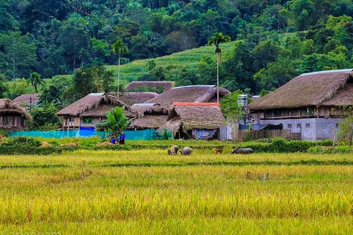 The peaceful beauty of Thon Tha village  in Ha Giang