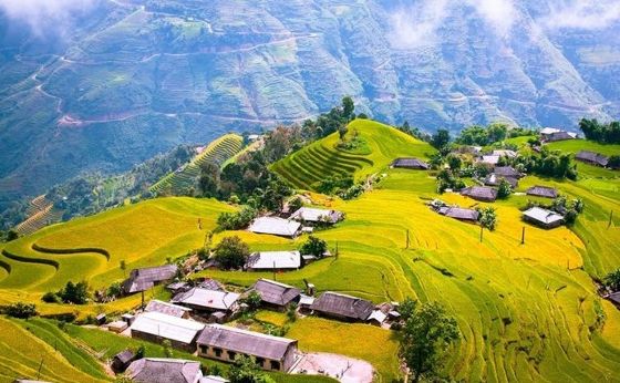 Explore Hoang Su Phi Rice Terraces Of Phung Village Ha Giang, Vietnam