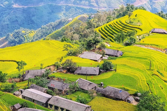 Admire the natural scenery in Phung village