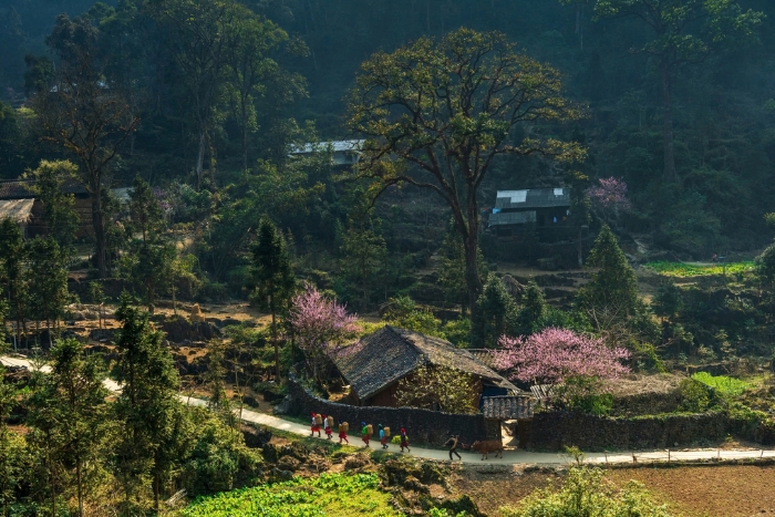 Dong Van, Ha Giang by bike