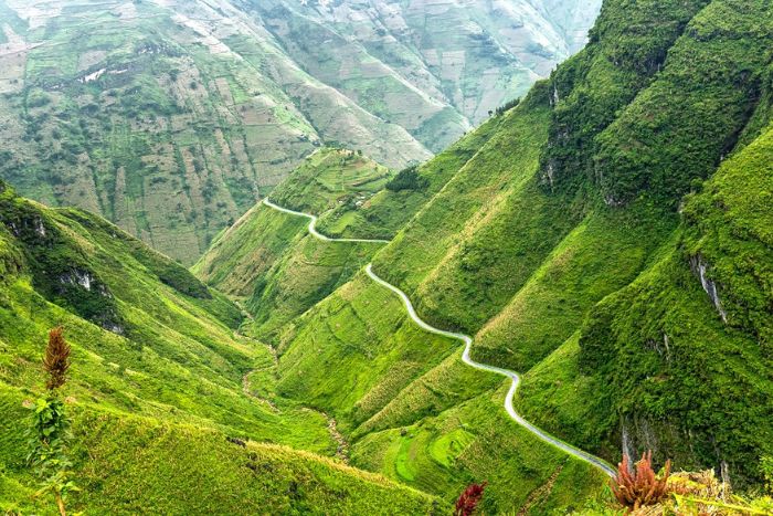 Ma Pi Leng Pass in Ha Giang - One of the most beautiful roads in Vietnam