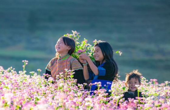 What To Do In Ha Giang In November? Advice From Mr. Pedro