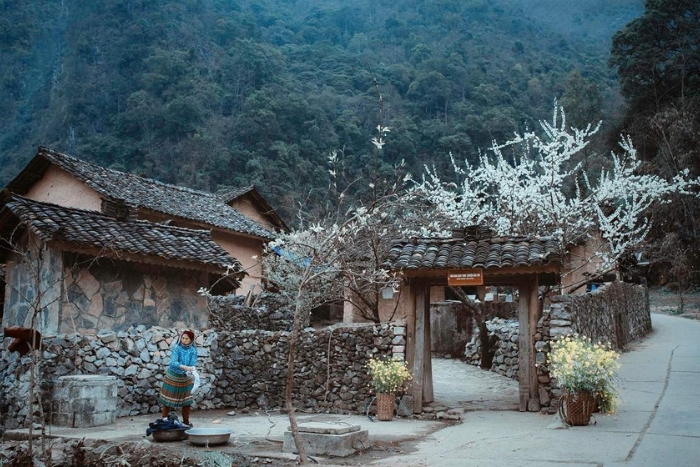 Sung La Valley in January, Ha Giang, Vietnam