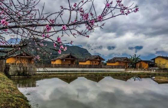 Explore Nam Dam Village In Quan Ba Ha Giang, Northern Vietnam