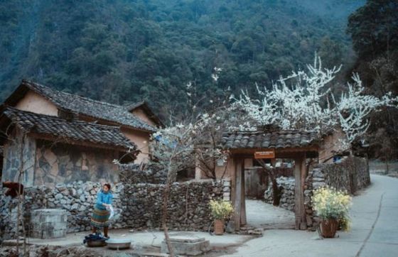 Paos House - Discover The Hmong Ethnic Identity In Ha Giang