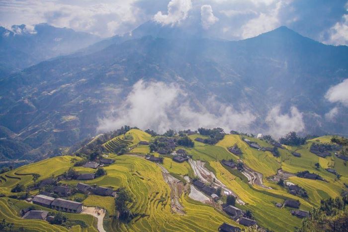 Panoramic View of the Ho Thau  rice terraces from above