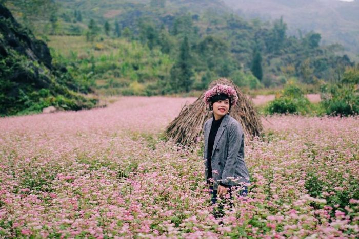 Buckwheat flower fields in Sung La Valley