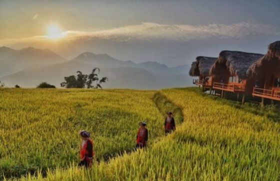 Thong Nguyen Village: Admire The Charming Natural Landscape Of Ha Giang
