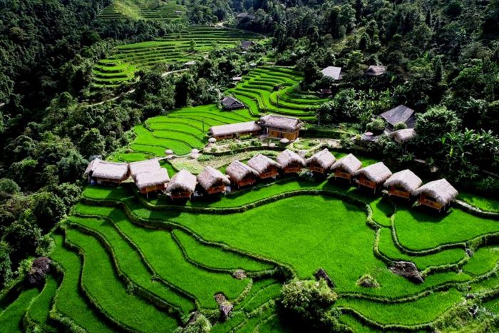 Hoang Su Phi Lodge - Green Living in the Red Dao Culture of Thong Nguyen Village