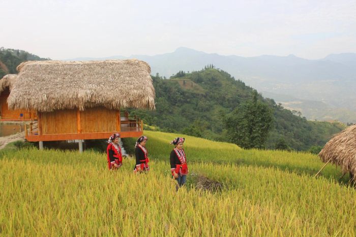 Discover daily life in Thong Nguyen Village