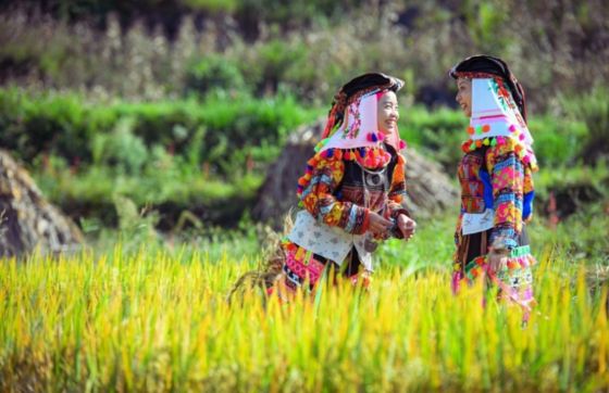 Ha Giang Complete Travel Guide – What To Know Before Visiting Vietnam