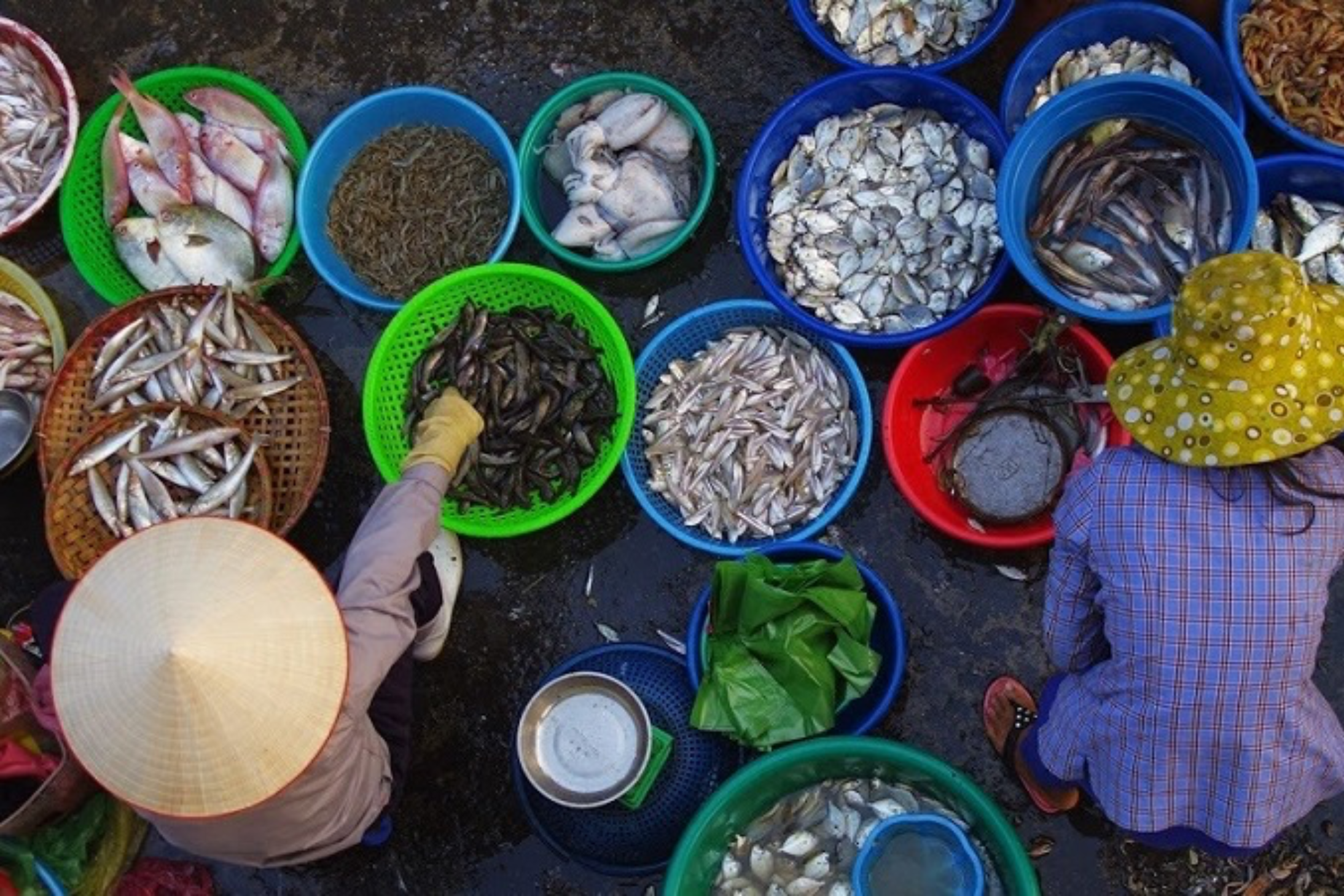 Weekly market in Halong