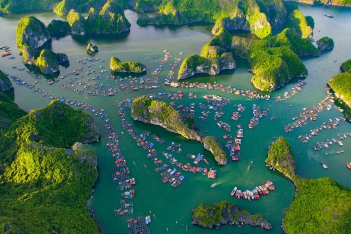 Why Choose Lan Ha Bay cruise for your trip? 