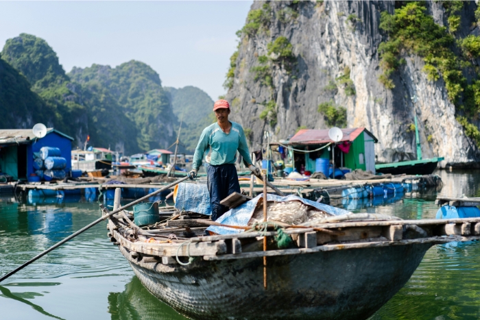 Discover life of local with Lan Ha bay cruise itinerary