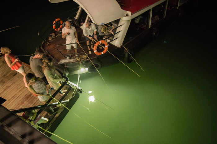 Squid fishing on the 4-star La Regina Legend cruise