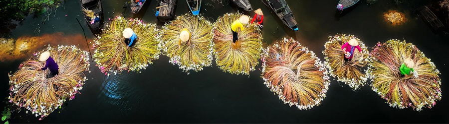 Top things to do in Saigon in November