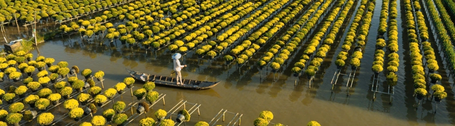 Top 15+ handicraft villages in Saigon and the Mekong Delta Vietnam