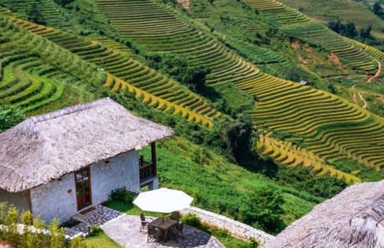 Top 8 Luxury Hotels With Rice Terrace Views In Northern Vietnam