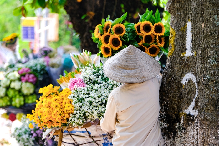 Where to go in Vietnam in 7 days?