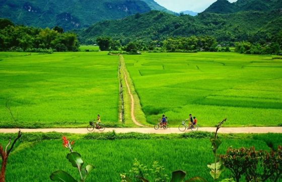 Review Of A Week In Mai Chau Pu Luong Tam Coc Halong By Mr. Kelly