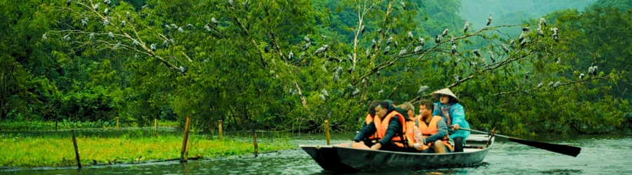 Mai Chau Pu Luong Ninh Binh 6 days itinerary