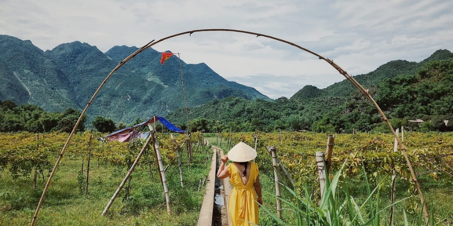 Visit Mai Chau