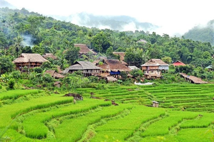 The authentic, rustic scenery of Don village in Pu Luong