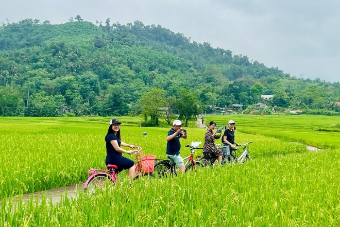 Cycling in Mai Chau Pu Luong allows you to ride through lush green rice fields