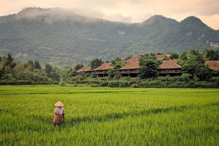 Cycle through the poetic natural landscapes of Mai Chau and Pu Luong