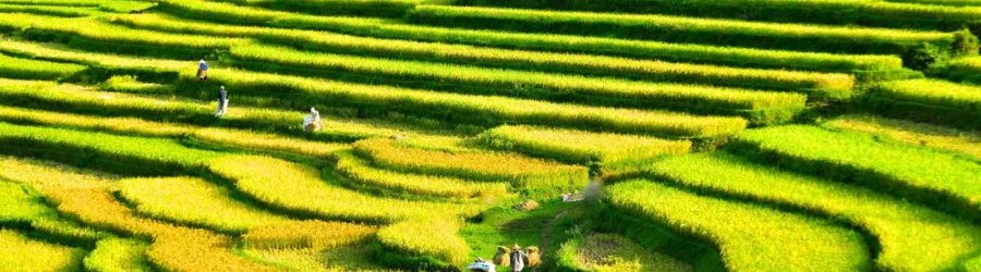 Why choose a cycling tour in Mai Chau and Pu Luong?