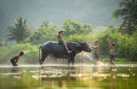 Itinerary Mai Chau Vietnam 1 Day: What To Do And What To See During One-day Trip?