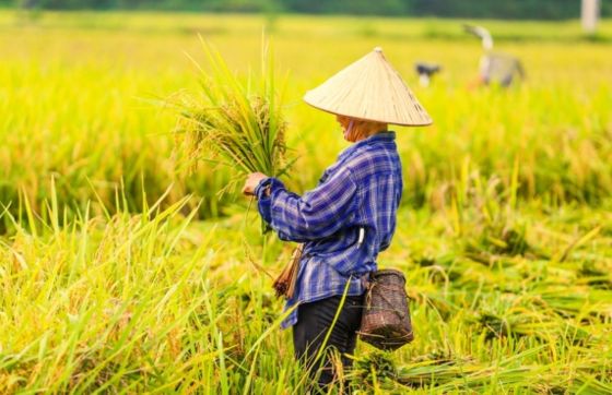 Mai Chau In November - Top Things To Do And See