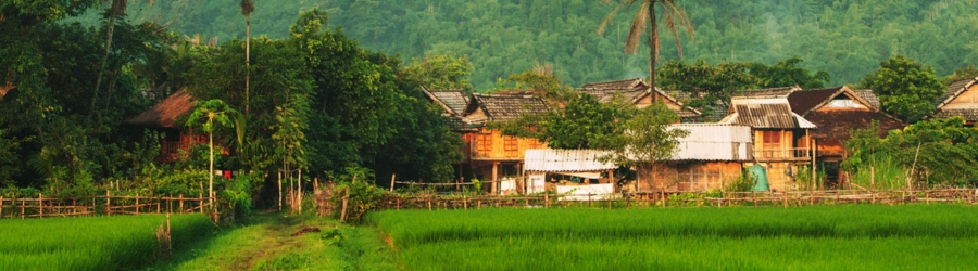 Best Time to Visit Mai Chau