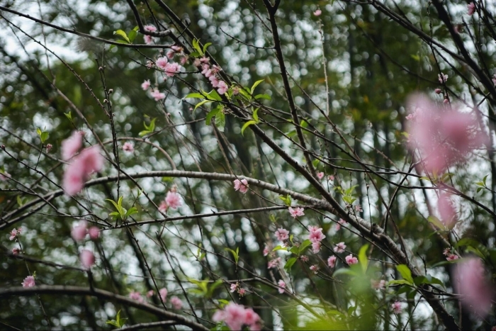 When is the best time to visit Mai Chau?