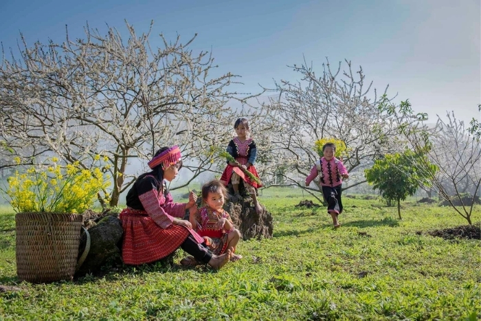 When to visit Moc Chau?