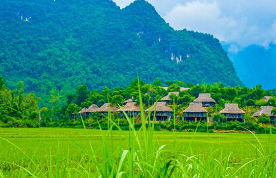 Discover Poom Coong Village : A Cultural Gem In Mai Chau, Vietnam