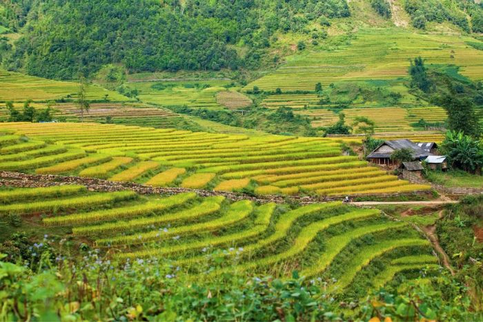 All-inclusive price for 2 days in Mai Hich Mai Chau