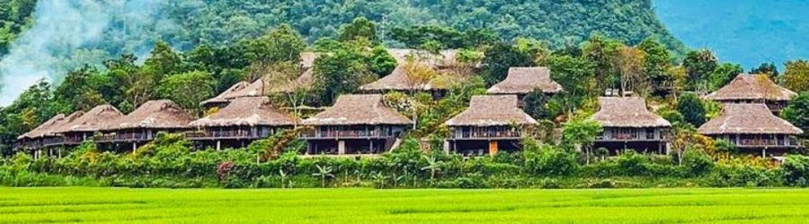 Discover the price for 2-day trip to Mai Hich Mai Chau