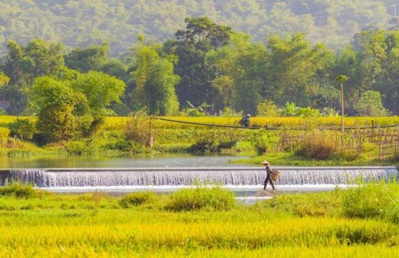 What To Do In Mai Chau? Top 06 Activities Not To Be Missed In Mai Chau, Viet Nam