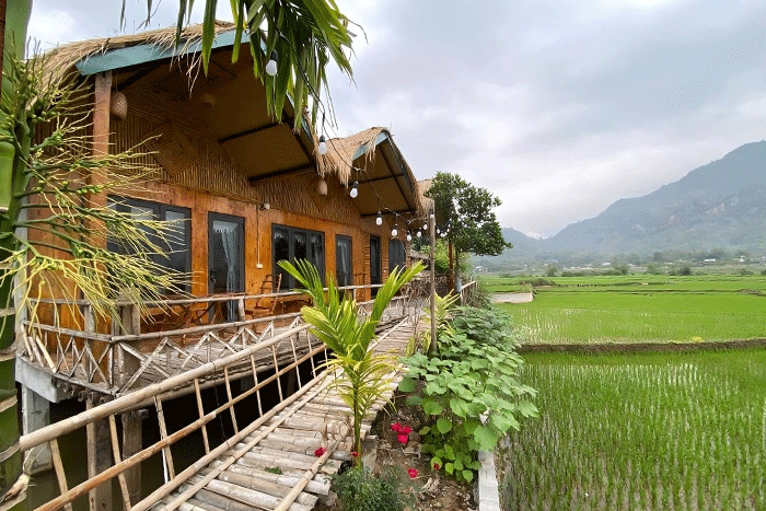 Mai Chau rice fields homestay
