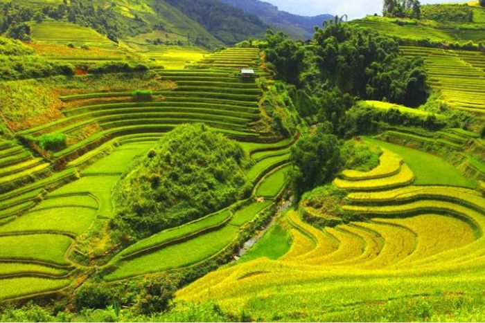 Rice fields surrounded by mountains characterize Mai Chau