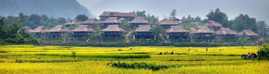 Discovering Mai Chau among rice fields, traditional villages, and mountains 