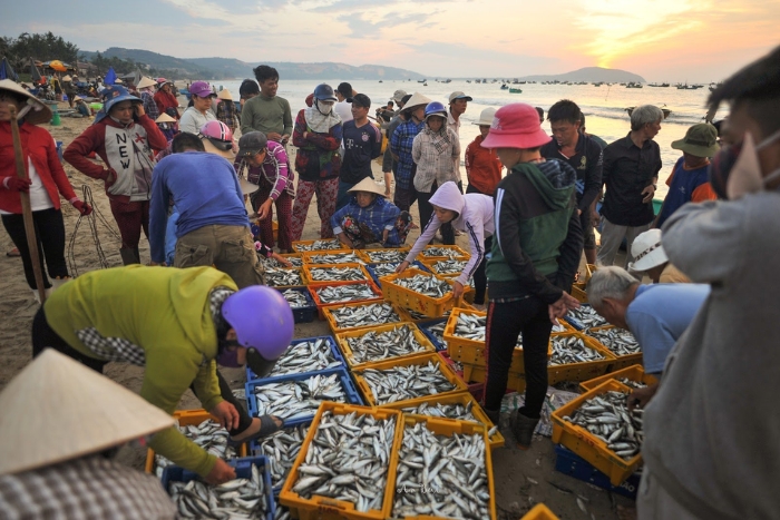 Discover seafood in Mui Ne Fishing Village in your 3-day family trip in Mui Ne