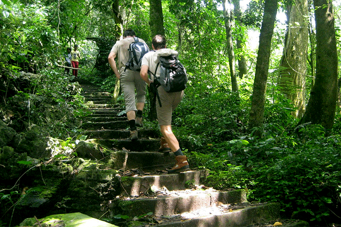 Cuc Phuong National Park