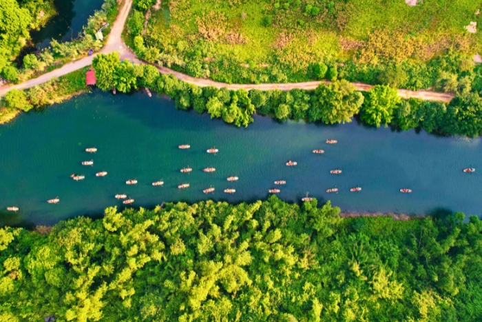 Summer scenery along the Ngo Dong River in Tam Coc