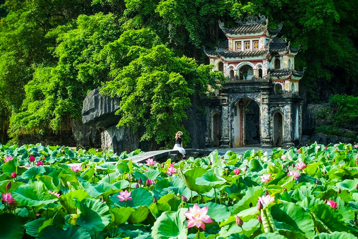  The season of lotus blooming makes the landscape surrounding Bich Dong Pagoda truly picturesque