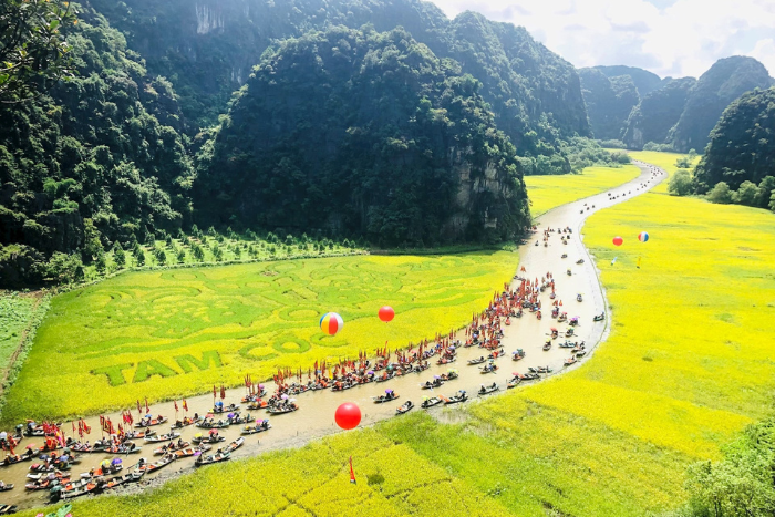 Tam Coc during the rice harvest season always captivates travelers with its poetic beauty