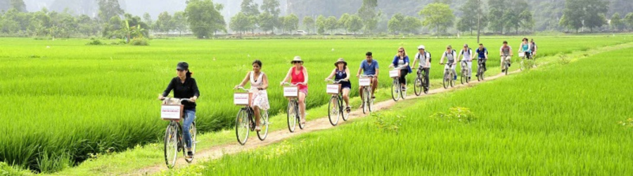 Getting around Tam Coc by bike or scooter &ndash; which one should you choose?