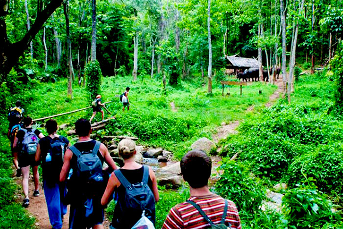 Ecotourism in Cuc Phuong